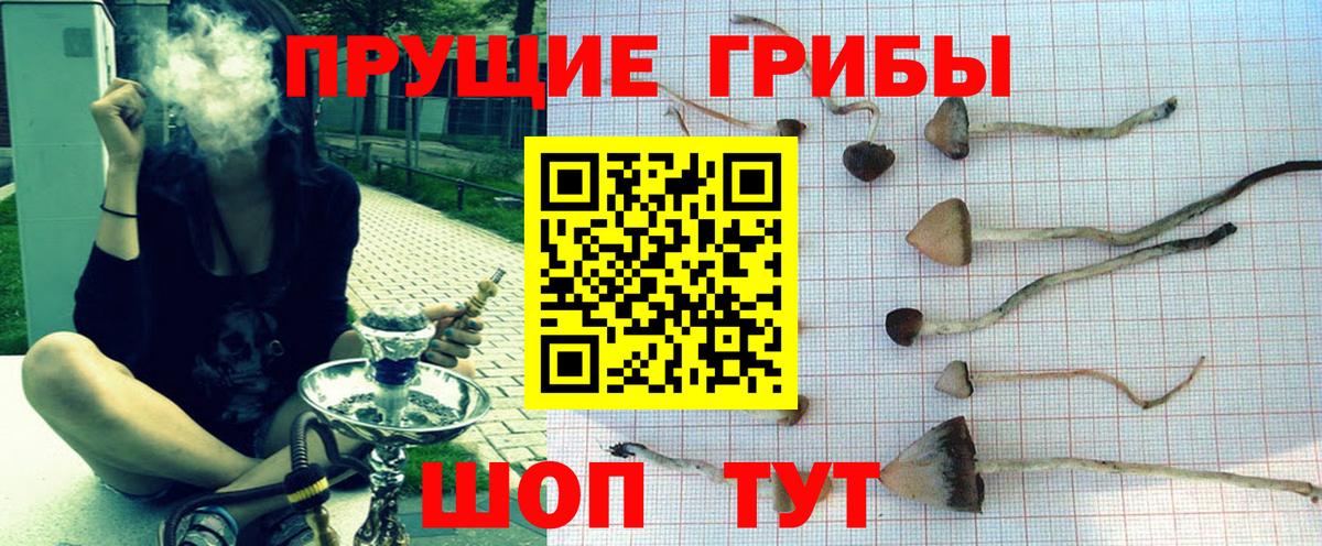 Лысьва  Псилоцибиновые грибы MAGIC MUSHROOMS  Псилоцибиновые грибы мицелий  Вход с VPN 
